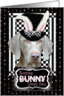 Some Bunny Loves You Easter Card - Weimaraner card