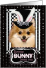 Some Bunny Loves You Easter Card - Pomeranian card