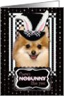There’s NoBunny Like You Easter Card - Pomeranian card