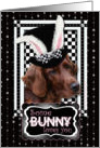 Some Bunny Loves You Easter Card - Irish Setter card