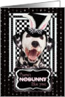 There’s NoBunny Like You Easter Card - Dalmatian card