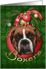 Christmas - Deck the Halls - Boxers - Marnie card