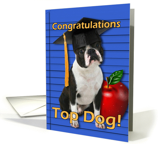 Graduation Congratulations Boston Terrier card (1092542)