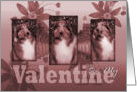 Be My Valentine - Collie - Pink card