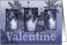 Be My Valentine - Collie - Purple card