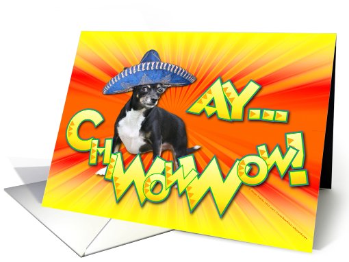 Ay..ChiWowWow! Happy Cinco de Mayo card (589494)