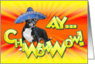 Ay..ChiWowWow! Cinco de Mayo Fiesta Invitation card