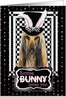 Some Bunny Loves You Easter Card - Afghan card