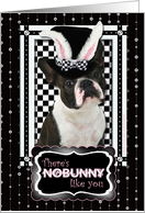 There’s NoBunny Like You Easter Card - Boston Terrier card