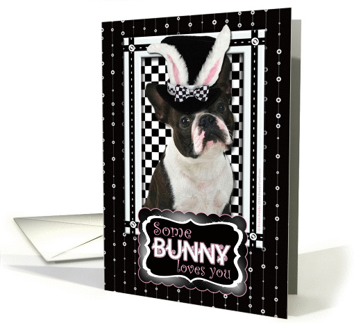 Some Bunny Loves You Easter Card - Boston Terrier card (900006)