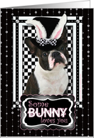Some Bunny Loves You Easter Card - Boston Terrier card