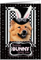 Some Bunny Loves You Easter Card - Chow Chow card