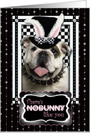 There’s NoBunny Like You Easter Card - Bulldog card