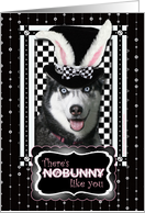 There's NoBunny Like...