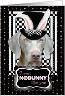There’s NoBunny Like You Easter Card - Weimaraner card