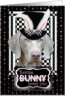 Some Bunny Loves You Easter Card - Weimaraner card