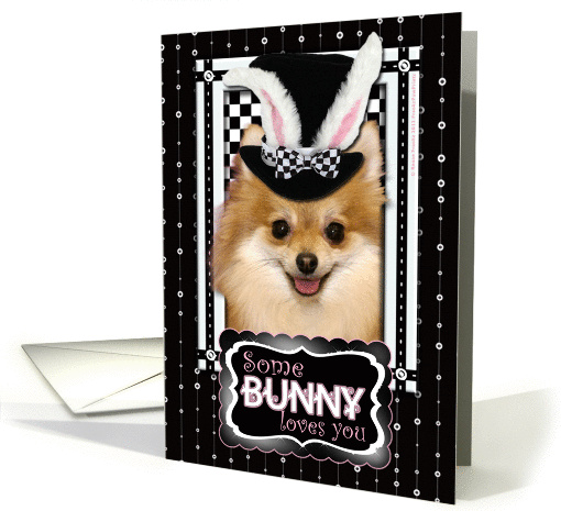Some Bunny Loves You Easter Card - Pomeranian card (903713)