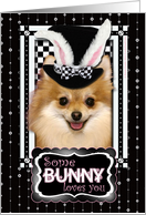 Some Bunny Loves You Easter Card - Pomeranian card