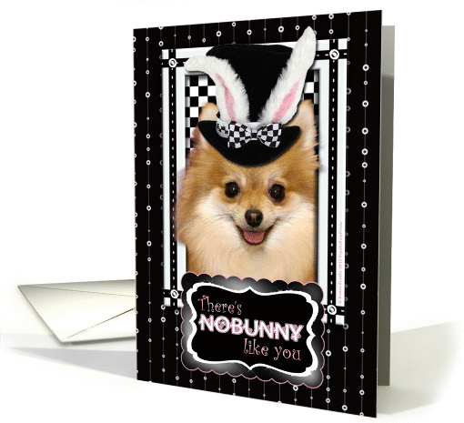There's NoBunny Like You Easter Card - Pomeranian card (903739)