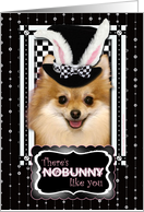 There’s NoBunny Like You Easter Card - Pomeranian card