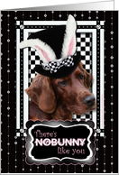 There’s NoBunny Like You Easter Card - Irish Setter card