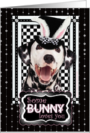 Some Bunny Loves You Easter Card - Dalmatian card