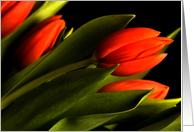 Tulips card