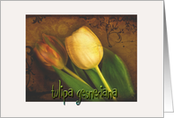 Tulipa Gesneriana card