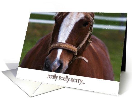 Really,really sorry..... card (564344)