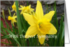 Sympathy Daffodil card