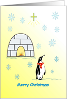 Merry Christmas Penguin card