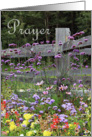 Prayer Flowers card