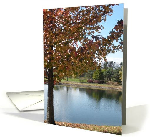 Blank Card - Autumn Tree And Pond card (709002)