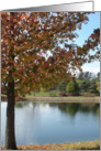 Blank Card - Autumn Tree And Pond card