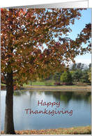 Happy Thanksgiving with beautiful fall tree card