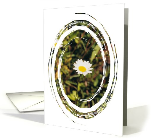 Blank Card - Daisy Swirl card (761827)