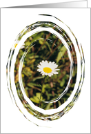 Blank Card - Daisy Swirl card