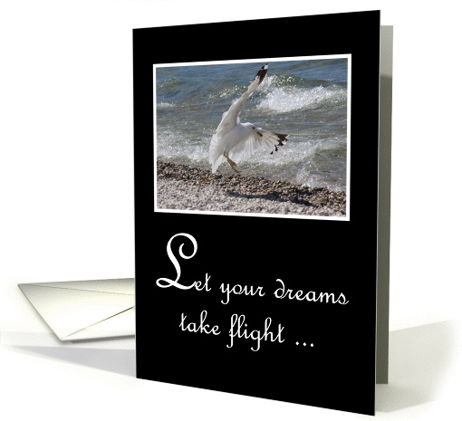 Graduation Congratulations - Seagull Taking Flight From Beach card