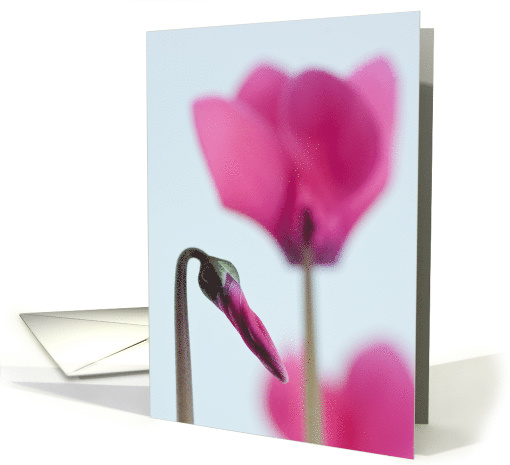 Abstract Flower card (558400)