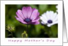 Happy Mother’s Day card