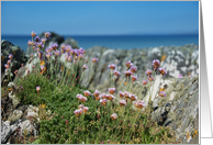 Isle of Gigha beach scene card
