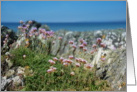 Isle of Gigha beach scene card