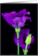 Fancy Flowers card