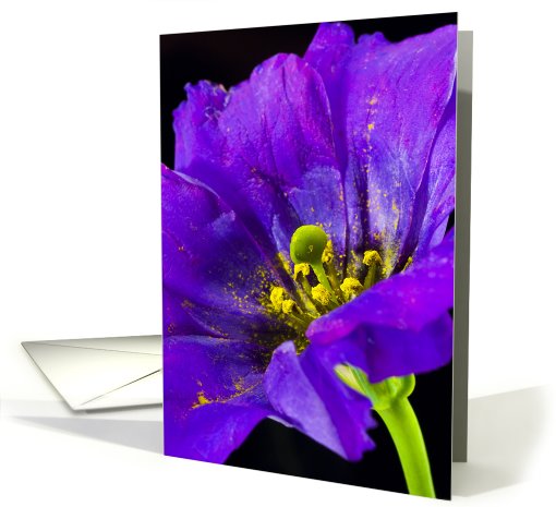 Bright and Beautiful card (566480)