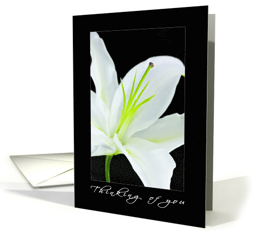 Thinking of You card (566526)