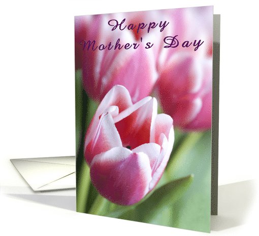 Mother's Day Tulips card (584928)