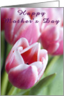 Mother’s Day Tulips card