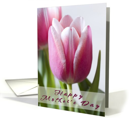 Mother's Day Tulips card (584936)