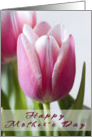 Mother’s Day Tulips card