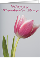 Mother’s Day Tulip card